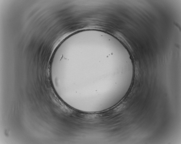 X0000102361292200808221707