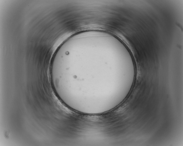 X0000102361293200808221707