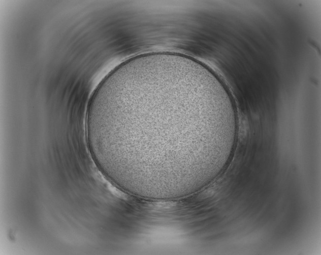 X0000102361294200808221707