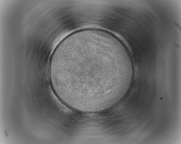 X0000102361295200808221707