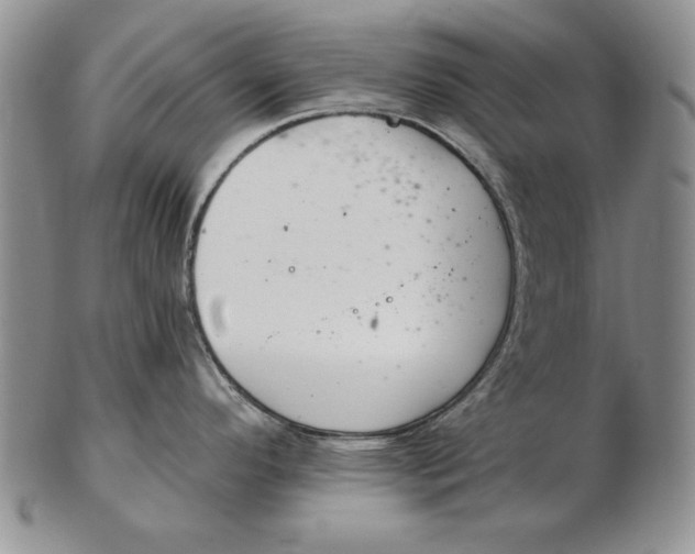 X0000102361296200808221707