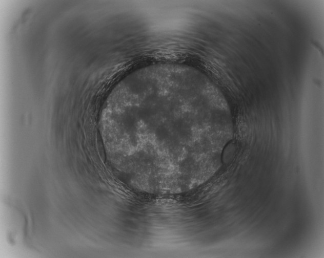 X0000102361297200808221707