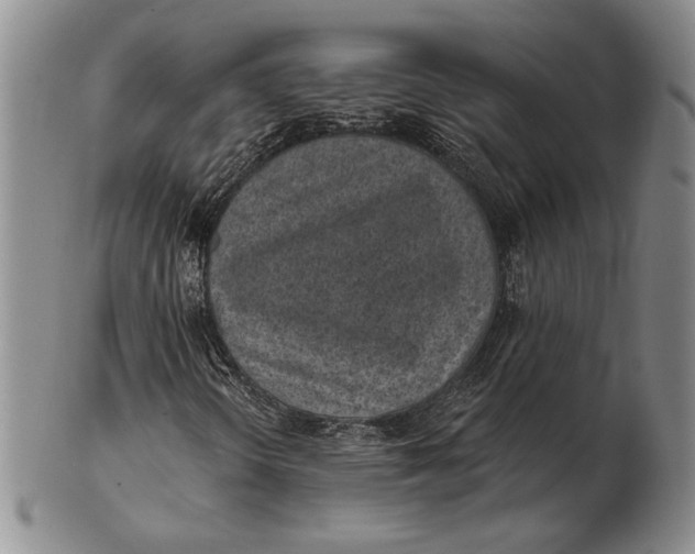 X0000102361298200808221707