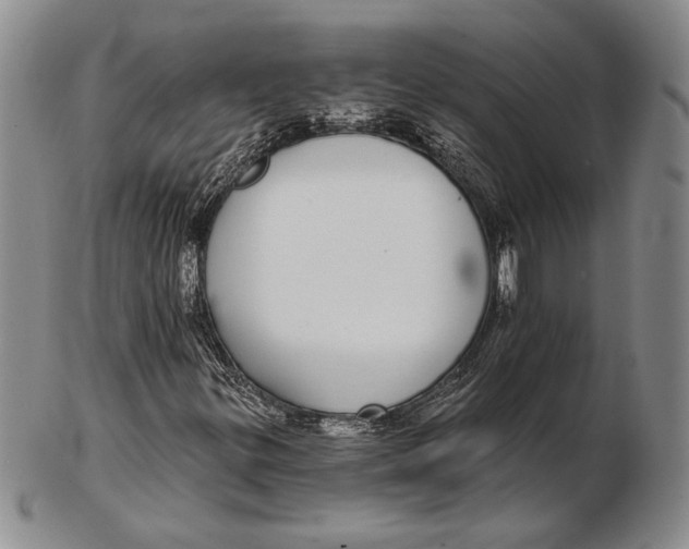 X0000102361299200808221707