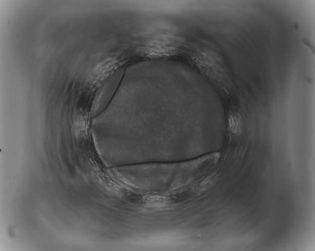 X0000102361300200808221707