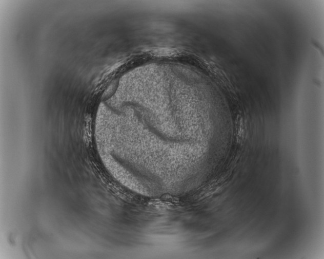 X0000102361301200808221707