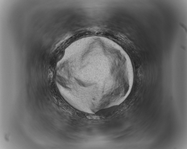 X0000102361302200808221707