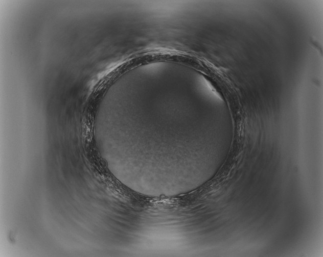 X0000102361303200808221707