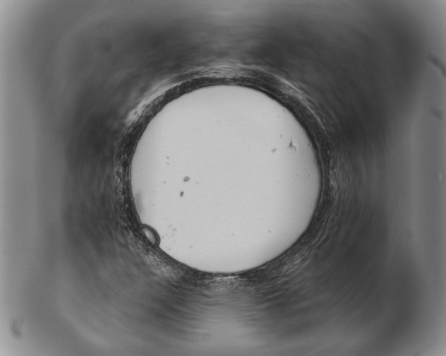 X0000102361304200808221707