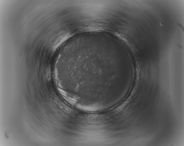 X0000102361306200808221707