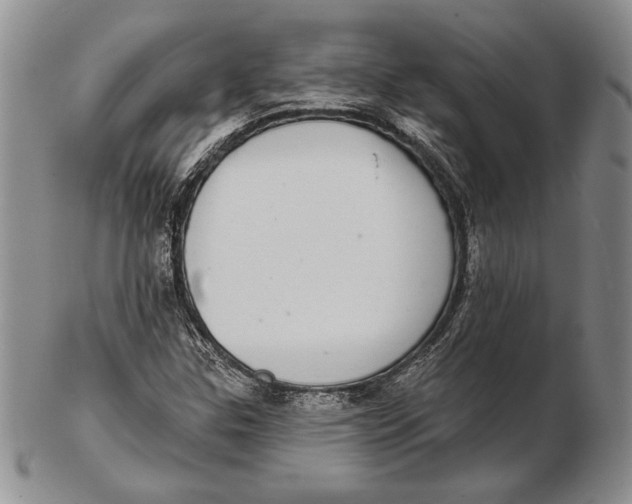 X0000102361307200808221707