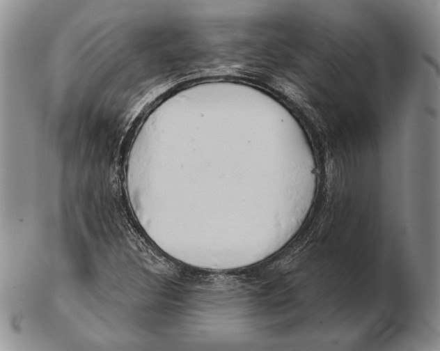 X0000102361308200808221707