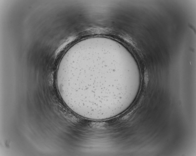 X0000102361309200808221707