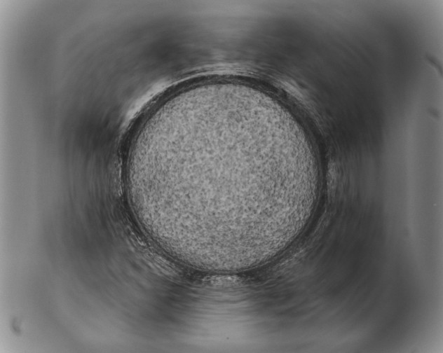 X0000102361310200808221707