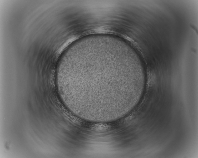 X0000102361314200808221707