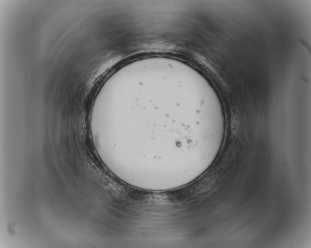 X0000102361315200808221707