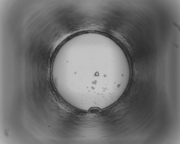 X0000102361316200808221707