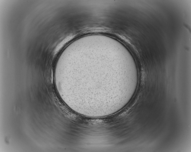 X0000102361317200808221707