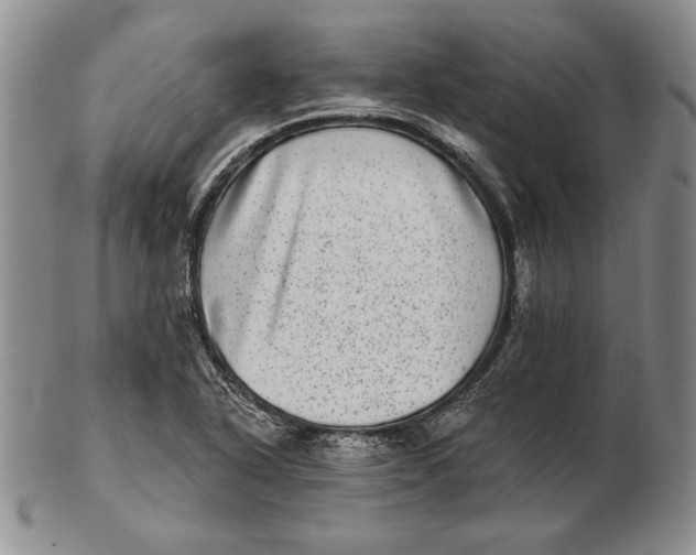 X0000102361318200808221707