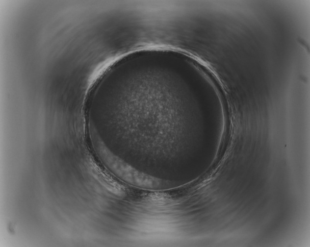 X0000102361319200808221707