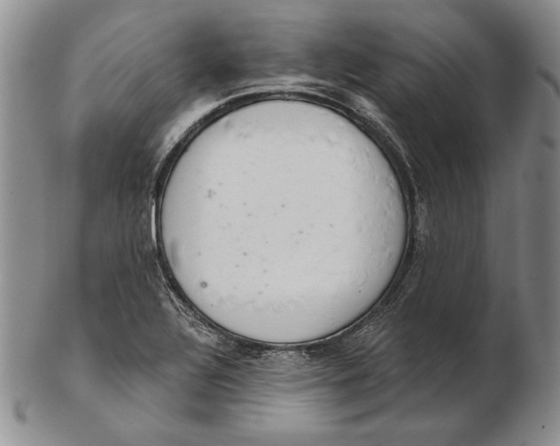 X0000102361320200808221707