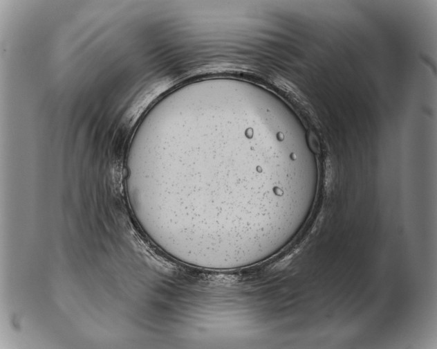 X0000102361321200808221707