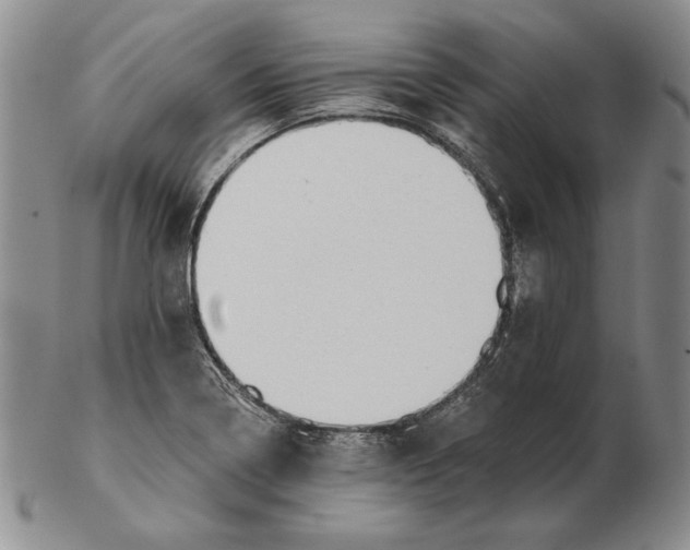 X0000102361322200808221707