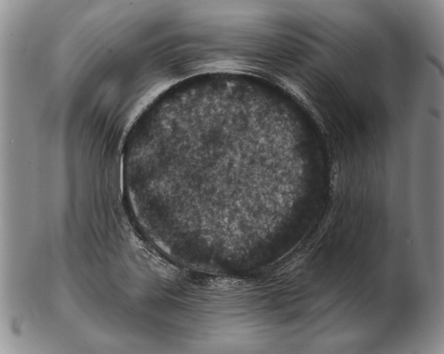 X0000102361323200808221707