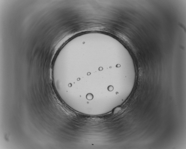 X0000102361324200808221707