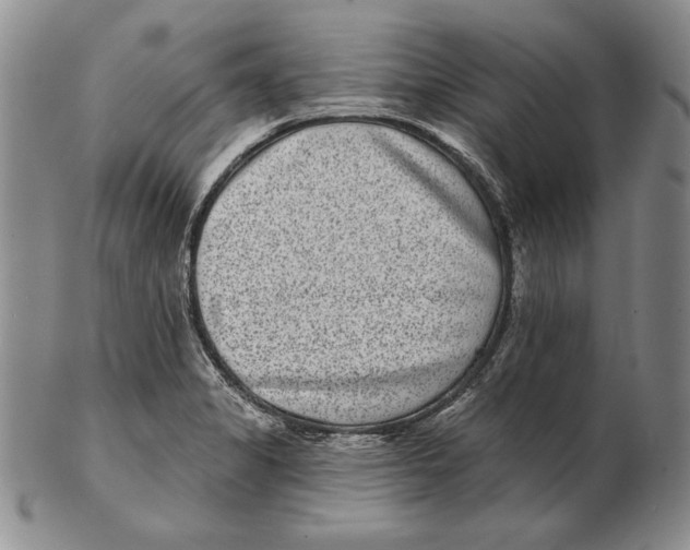 X0000102361325200808221707