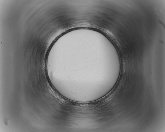 X0000102361326200808221707