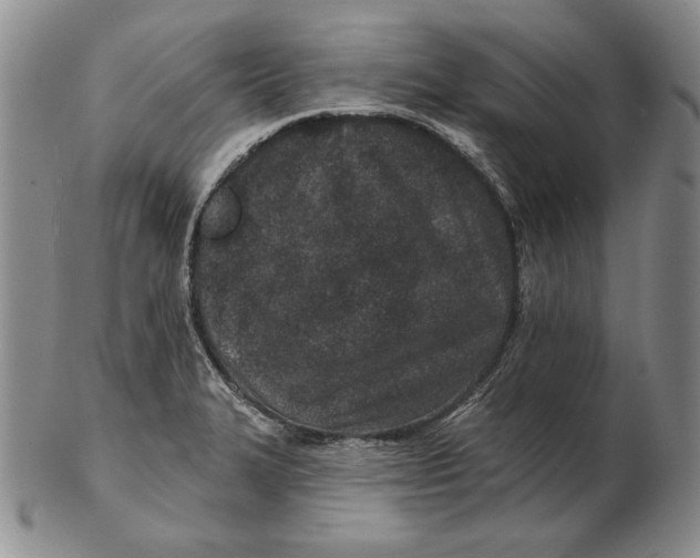 X0000102361327200808221707