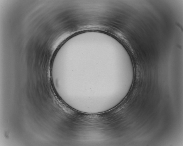 X0000102361328200808221707