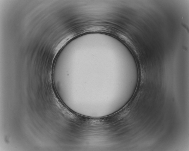 X0000102361330200808221707