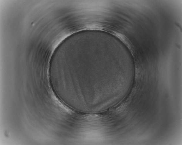 X0000102361331200808221707