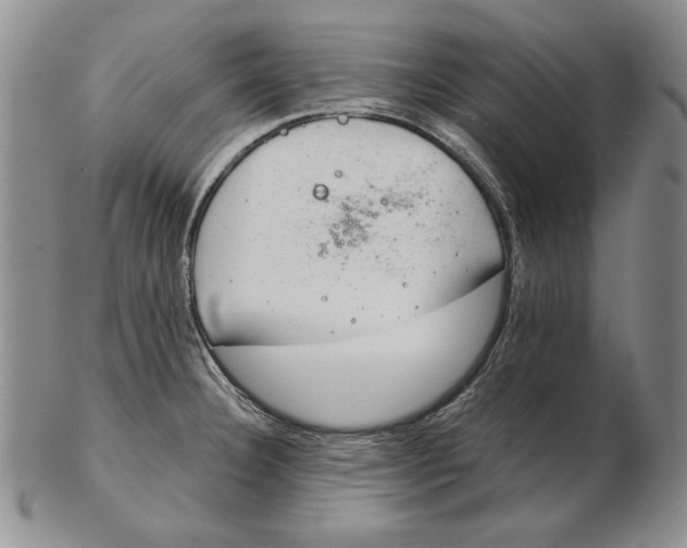 X0000102361332200808221707