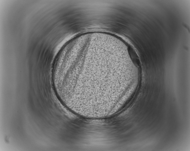 X0000102361333200808221707