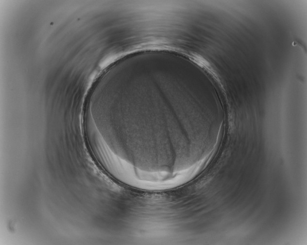 X0000102361334200808221707