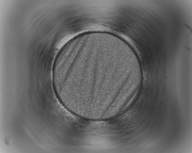 X0000102361335200808221707