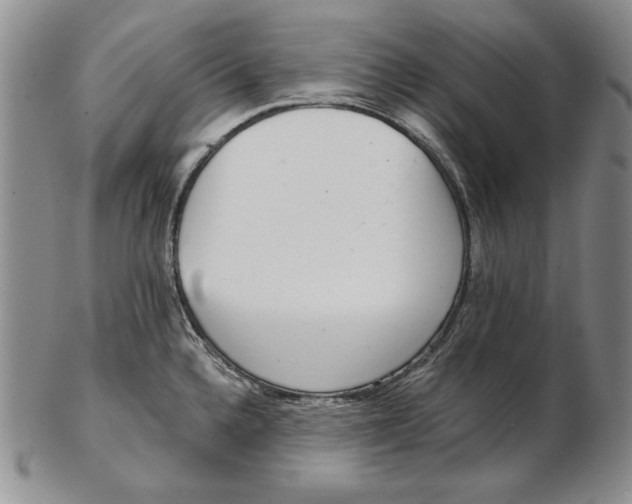 X0000102361336200808221707