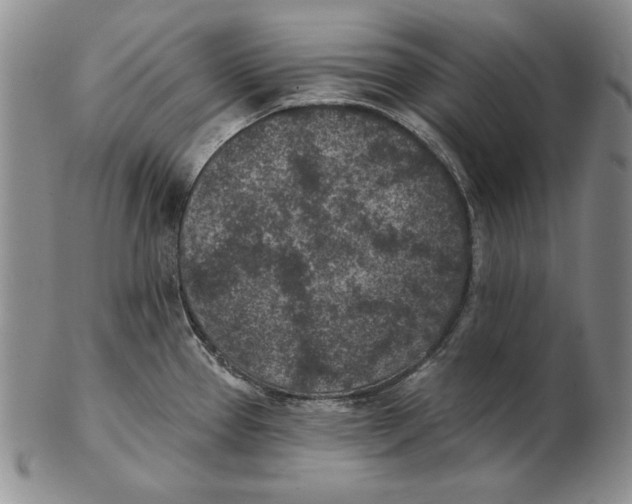 X0000102361337200808221707