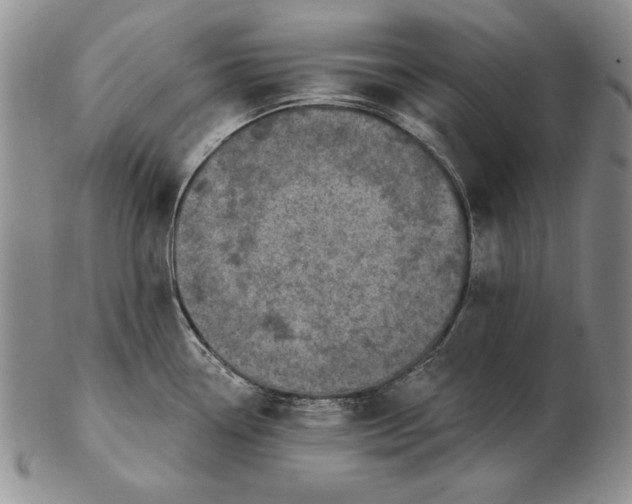 X0000102361338200808221707