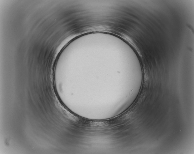 X0000102361339200808221707