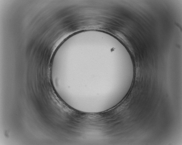 X0000102361340200808221707