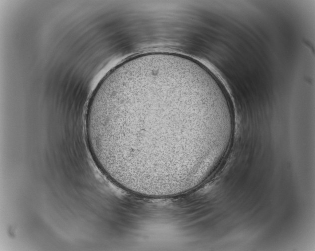 X0000102361341200808221707