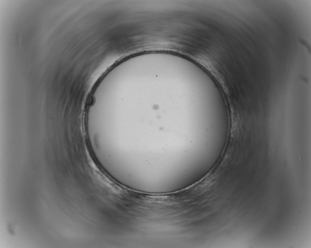 X0000102361342200808221707