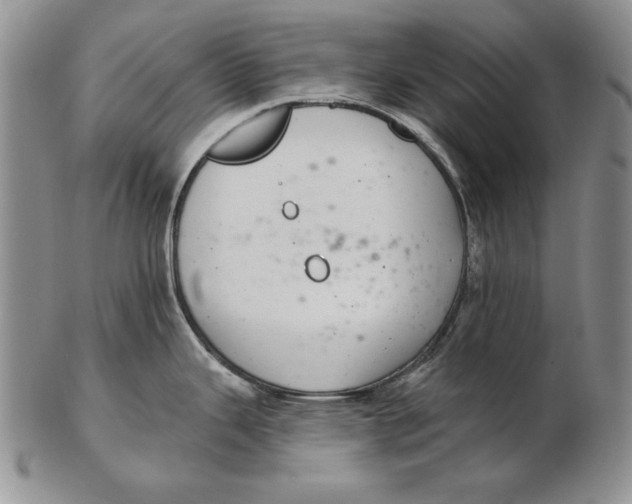 X0000102361343200808221707