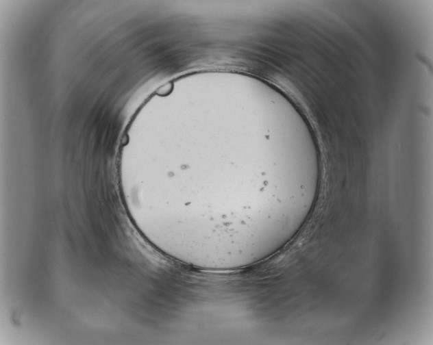 X0000102361344200808221707