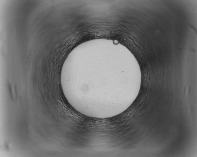 X0000102361345200808221707