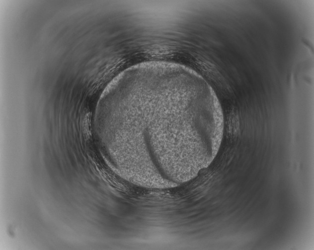 X0000102361346200808221707